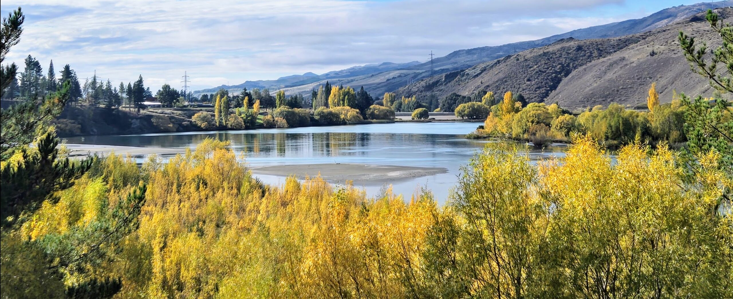 Central Otago web development design